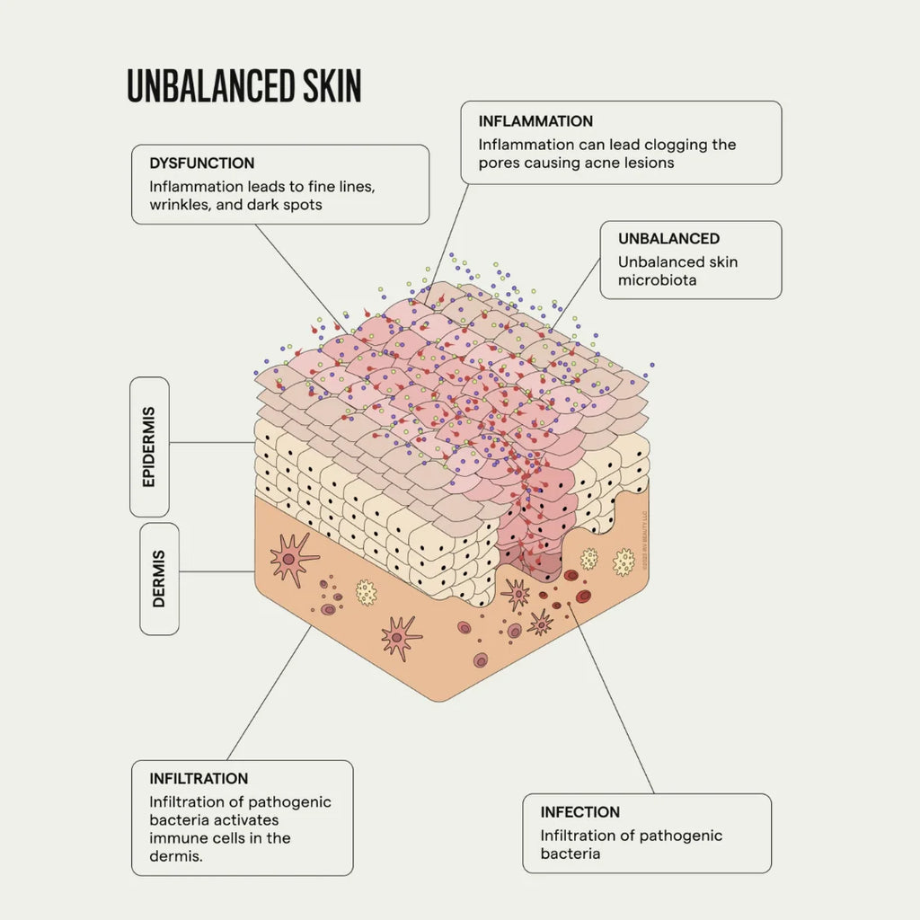 SIV BIOME BALANCING SERUM
