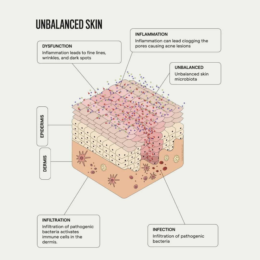SIV BIOME BALANCING SERUM